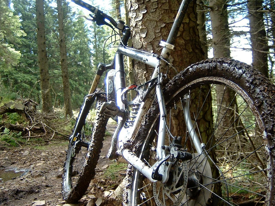 Cleaning your bicycle before a trip - bike-hook