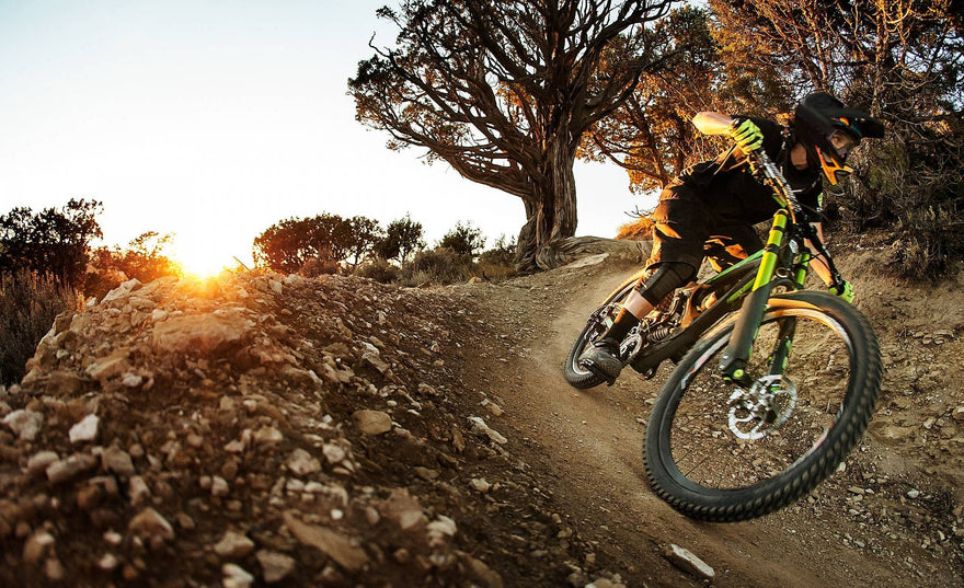 Bike secured to rear door of VW Transporter with Bike-Hook